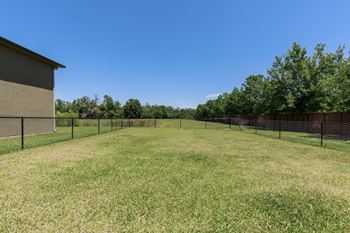 Dog park